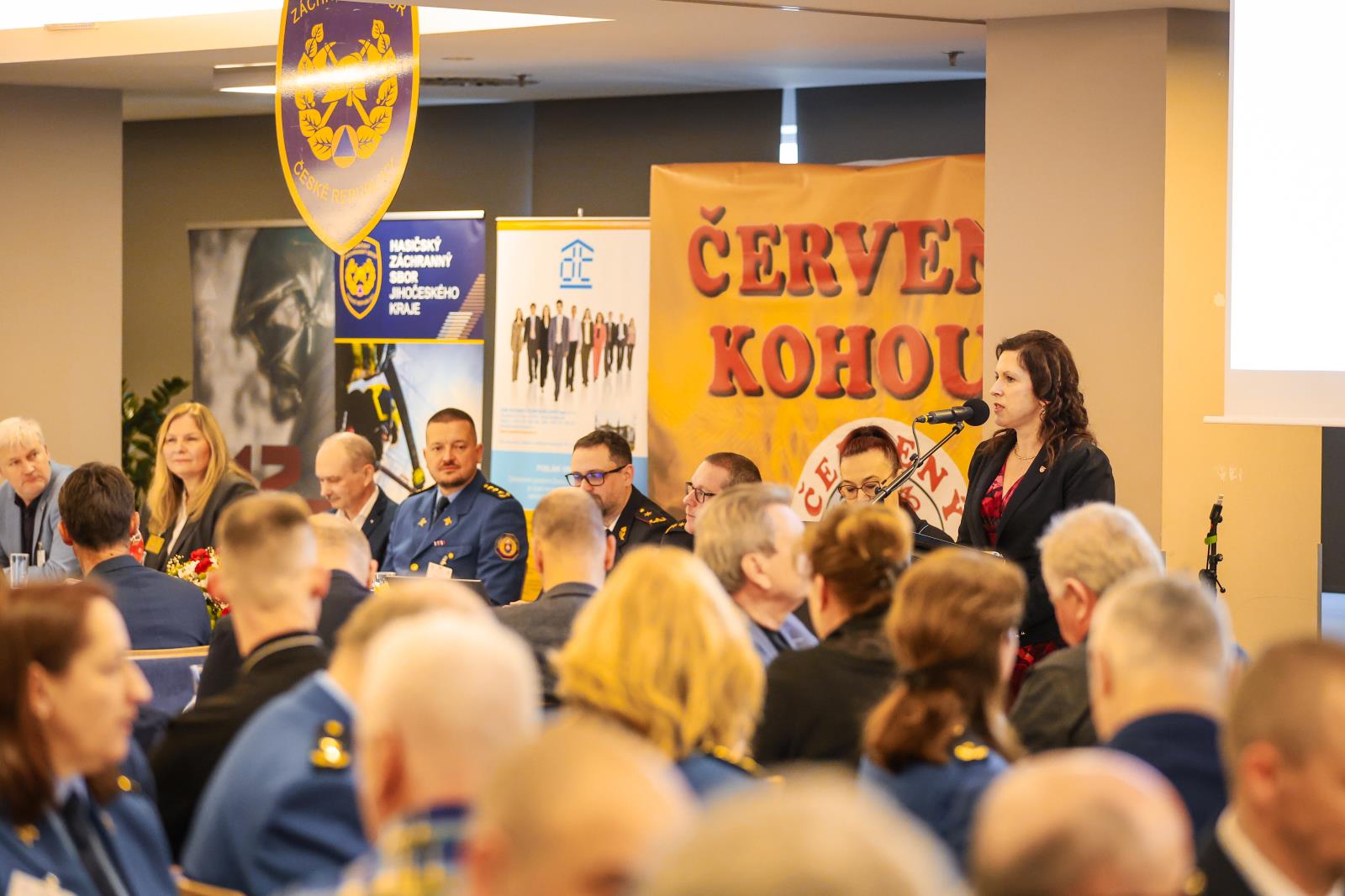 Červený kohout 2025 (35).jpeg