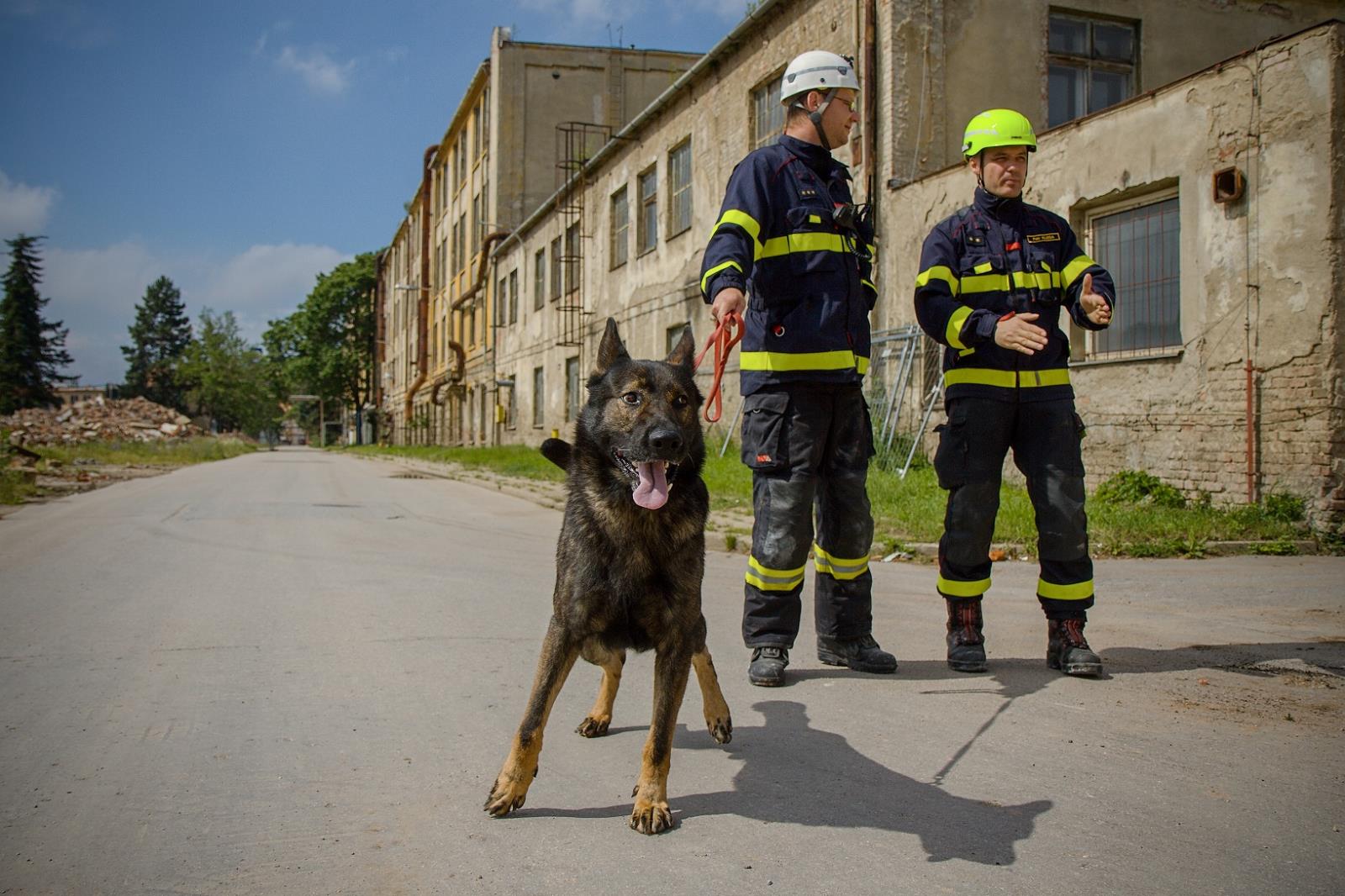 Cvičení kynologů_23.-25.6._Brno