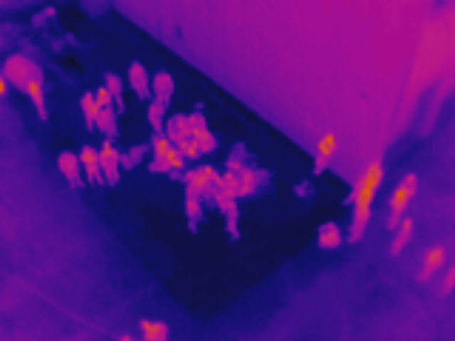 DJI_0036.JPG