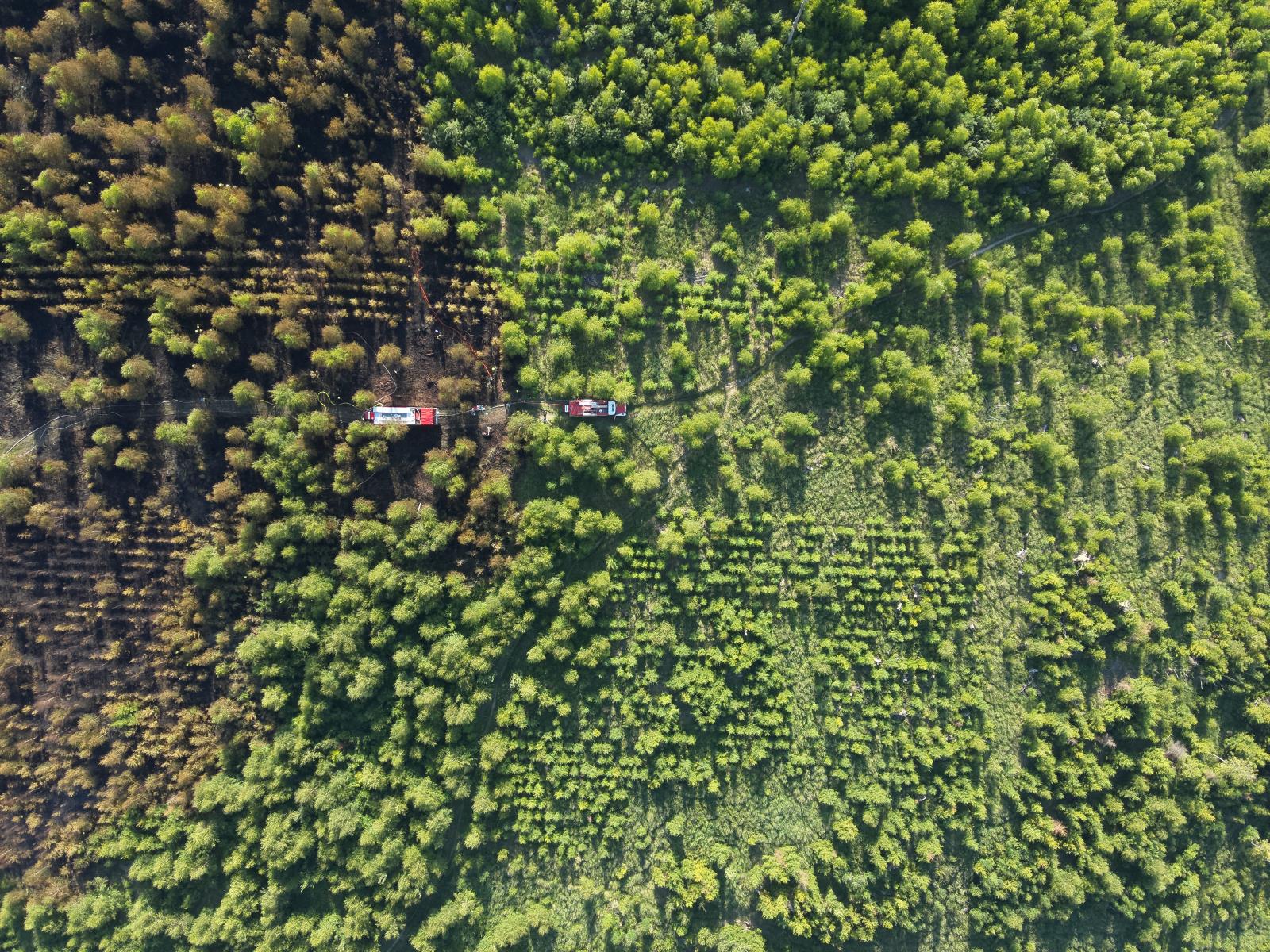 DJI_20250629175843_0008_W.JPG