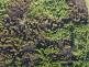 DJI_20250629180513_0047_W
