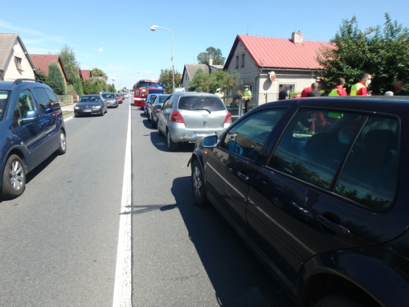 DN Holohlavy 15-08-2021.JPG