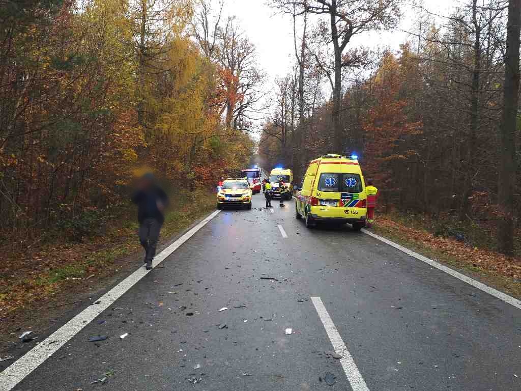 DN s vyproštěním (3).jpg