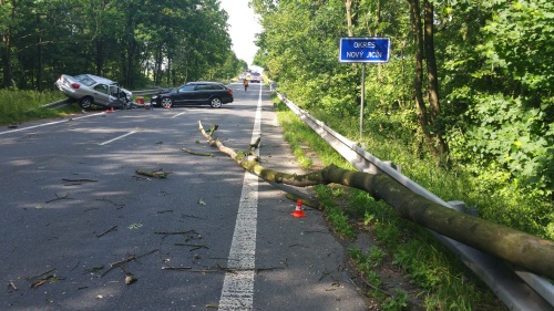 DN2autastromvitrPetrvald (NJ) (2).jpg