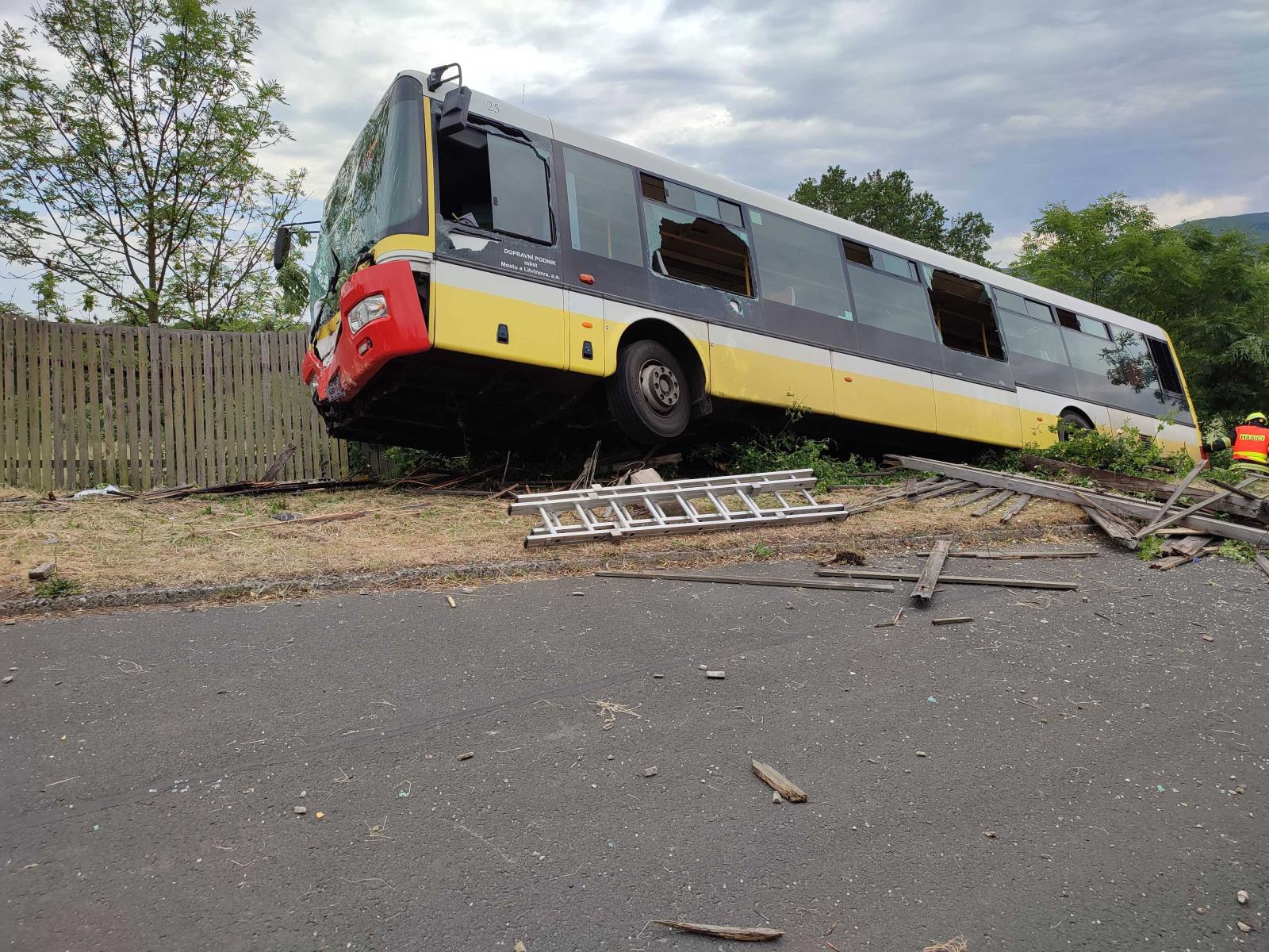 DN_BUS (2).jpg