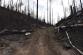 DSC_0001
