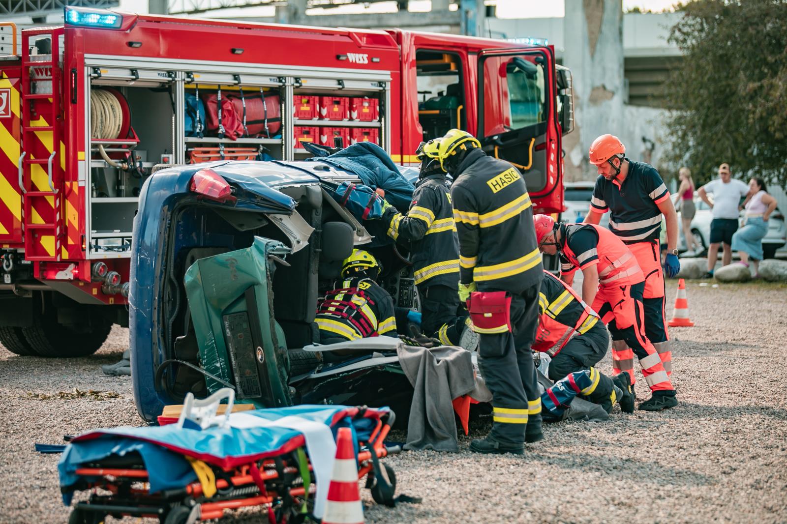 Den IZS PA_6.jpg