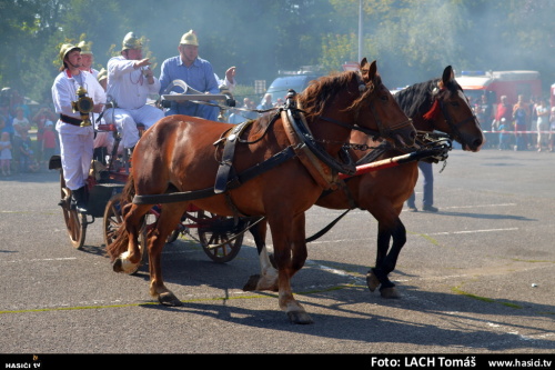 DenzachrannychslozekVratimov (OV) (9).JPG