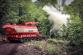 FOREST FIRE 2017