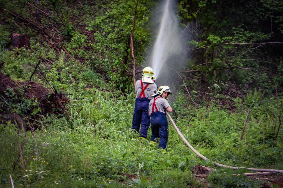 FOREST FIRE 2017