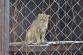 Fotky ZOO 060