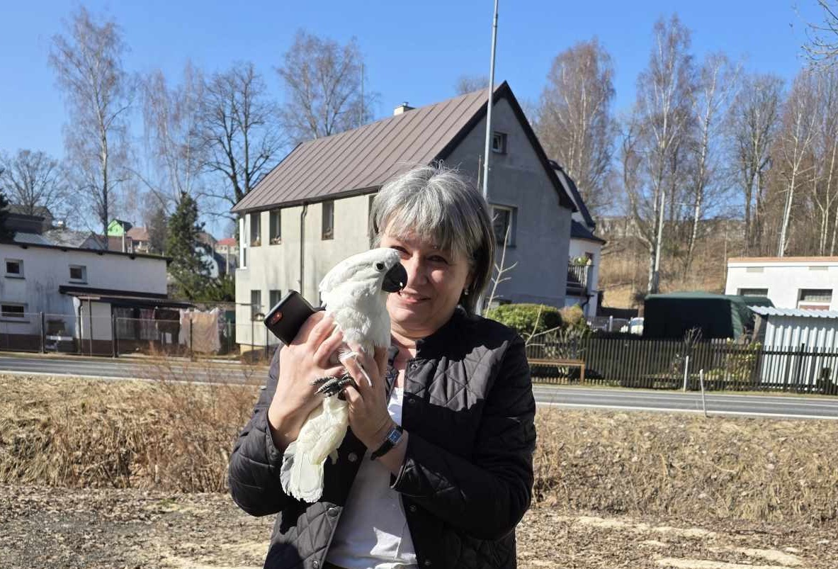 Foto ze zásahu