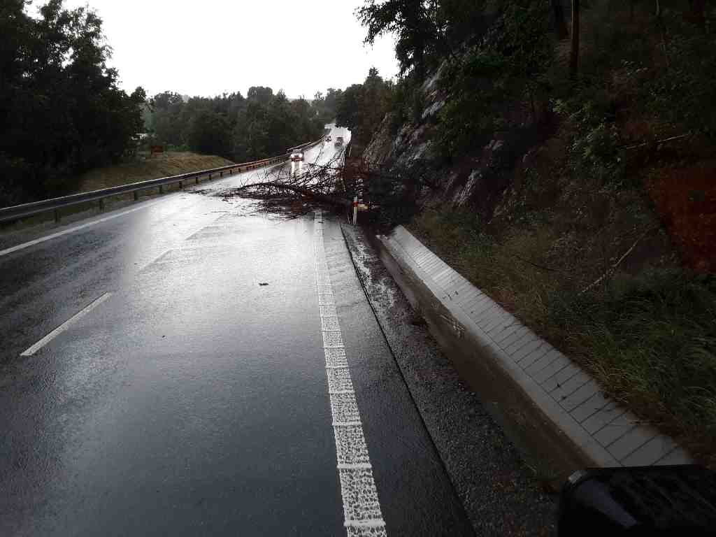 Hasiči likvidovali následky bouřky.
