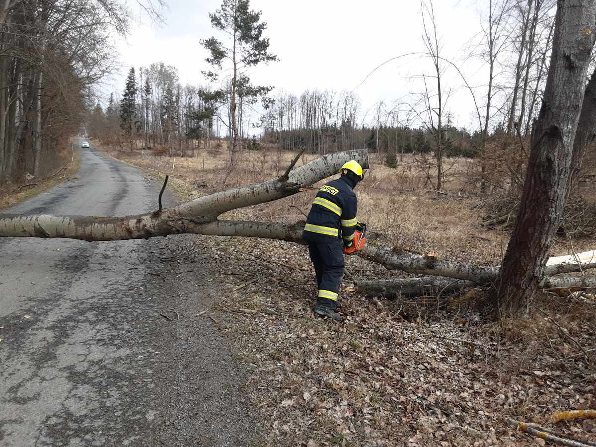 Hasiči zasahovali u popadaných stromů