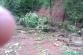 IMAG0193