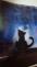 IMG-20240620-WA0015