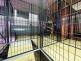 IMG_5555