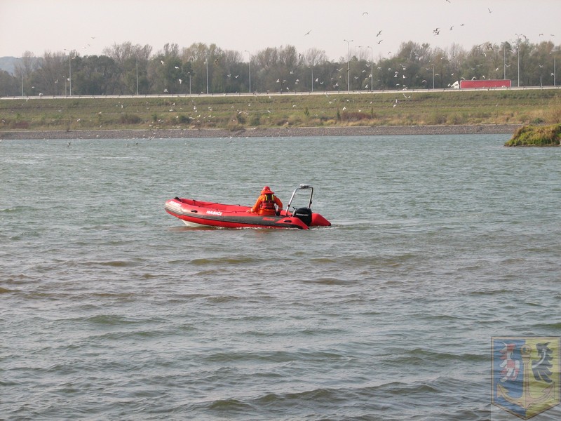 IMG_5632.JPG