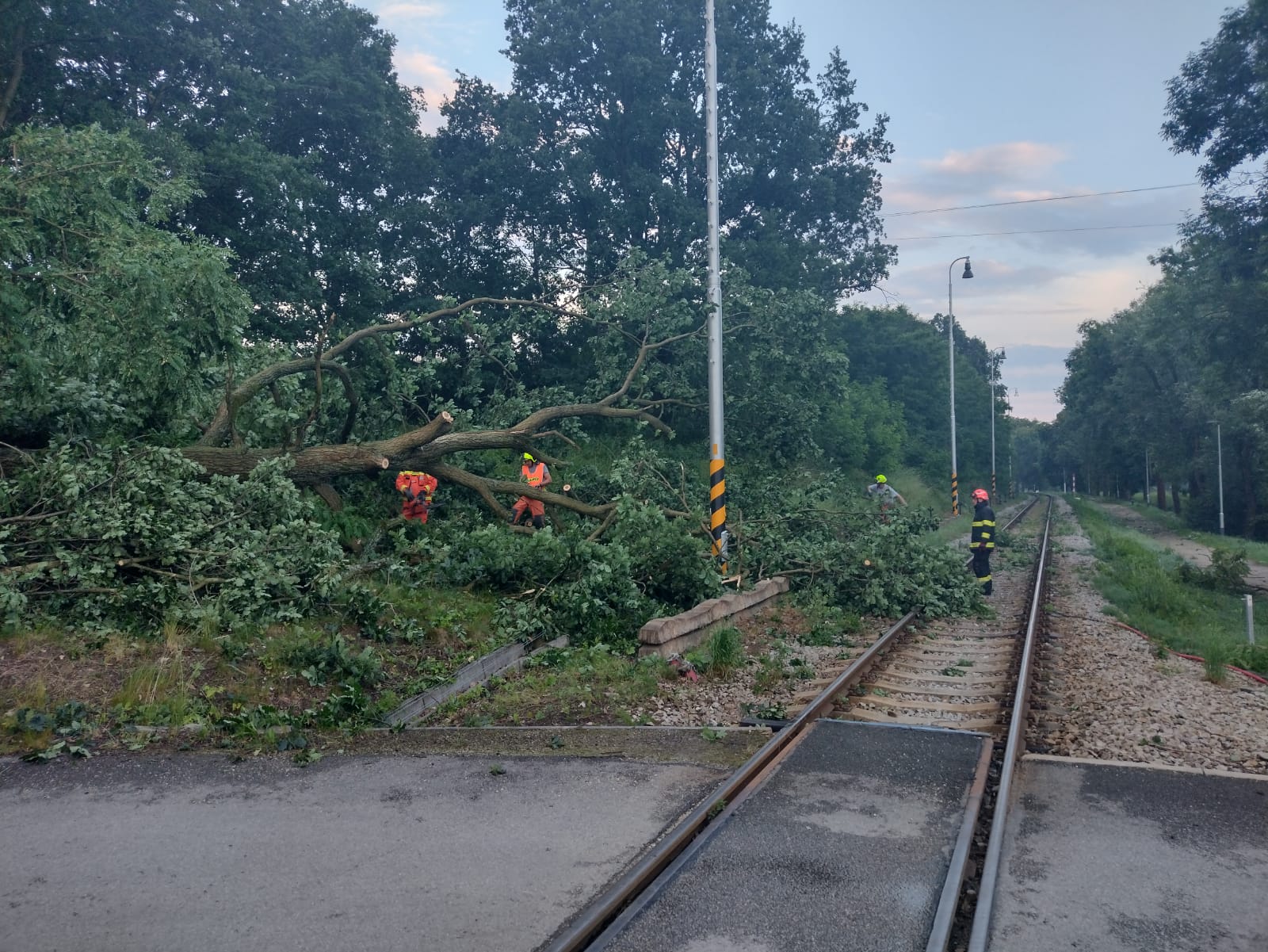 JČK_Hasiči odklízí strom z kolejí.jpg