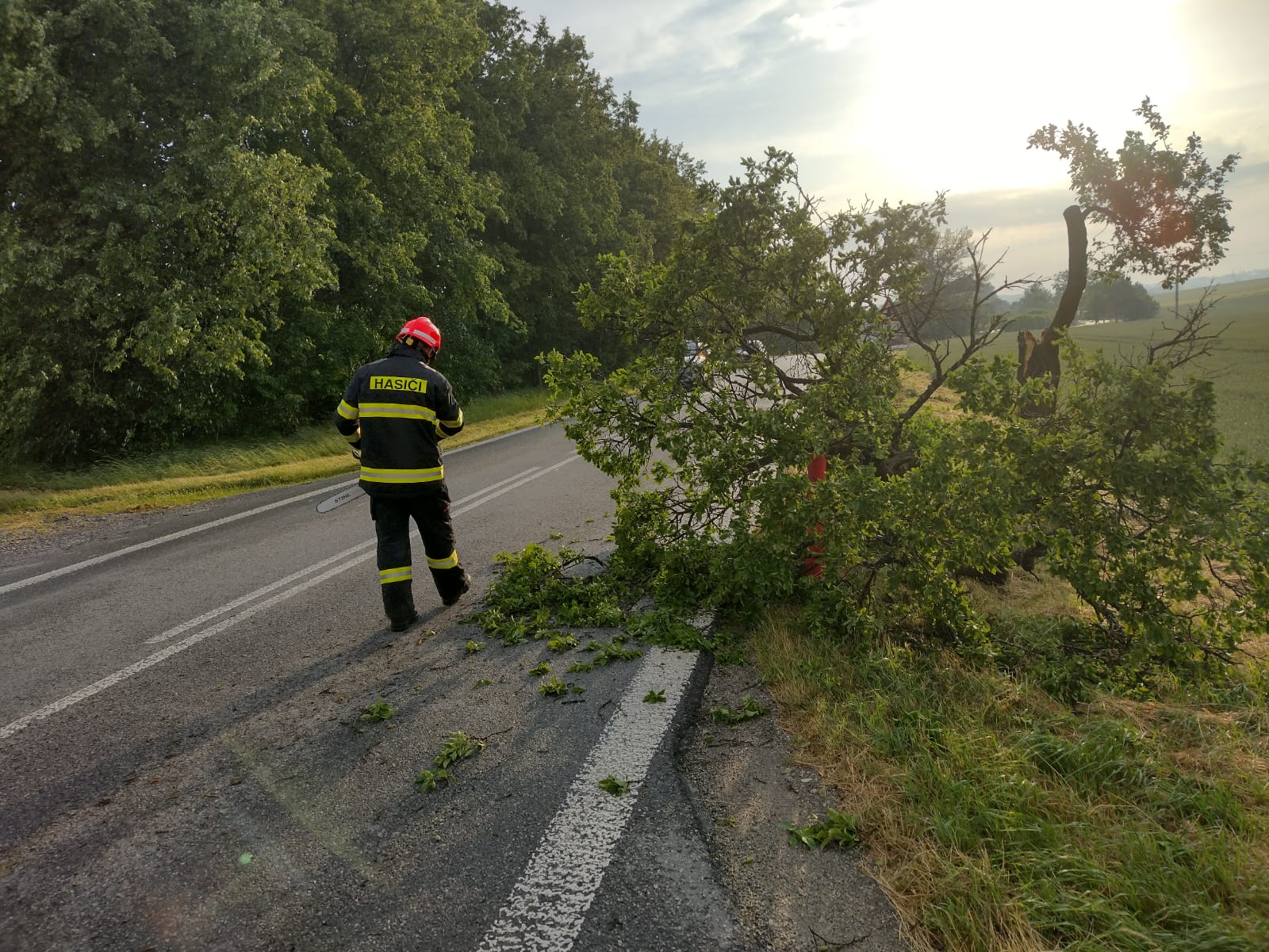 JČK_Hasiči odklízí strom z komunikace.jpg