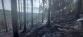 Linhart_03