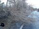 Lovosice (2)