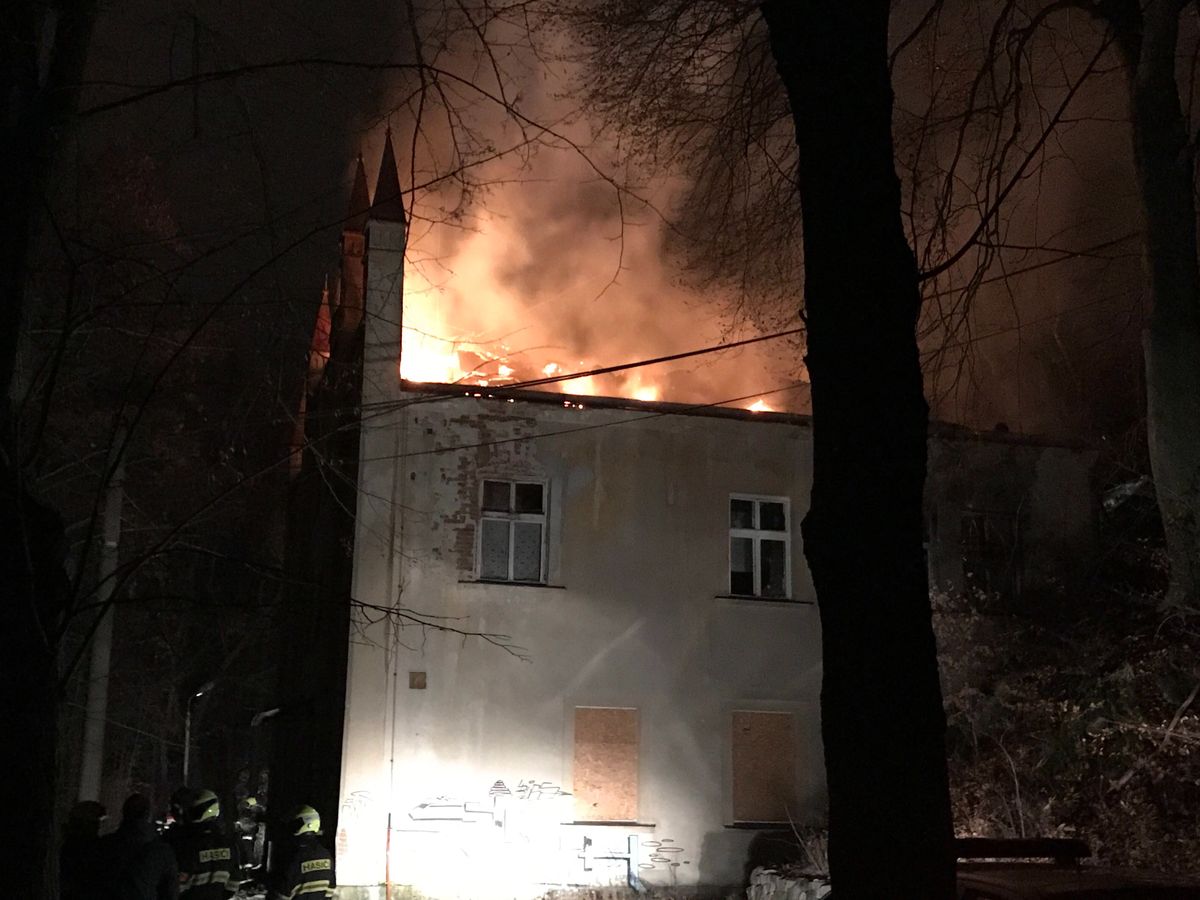 Markusek-2018_12_25-4ac3567e.jpg