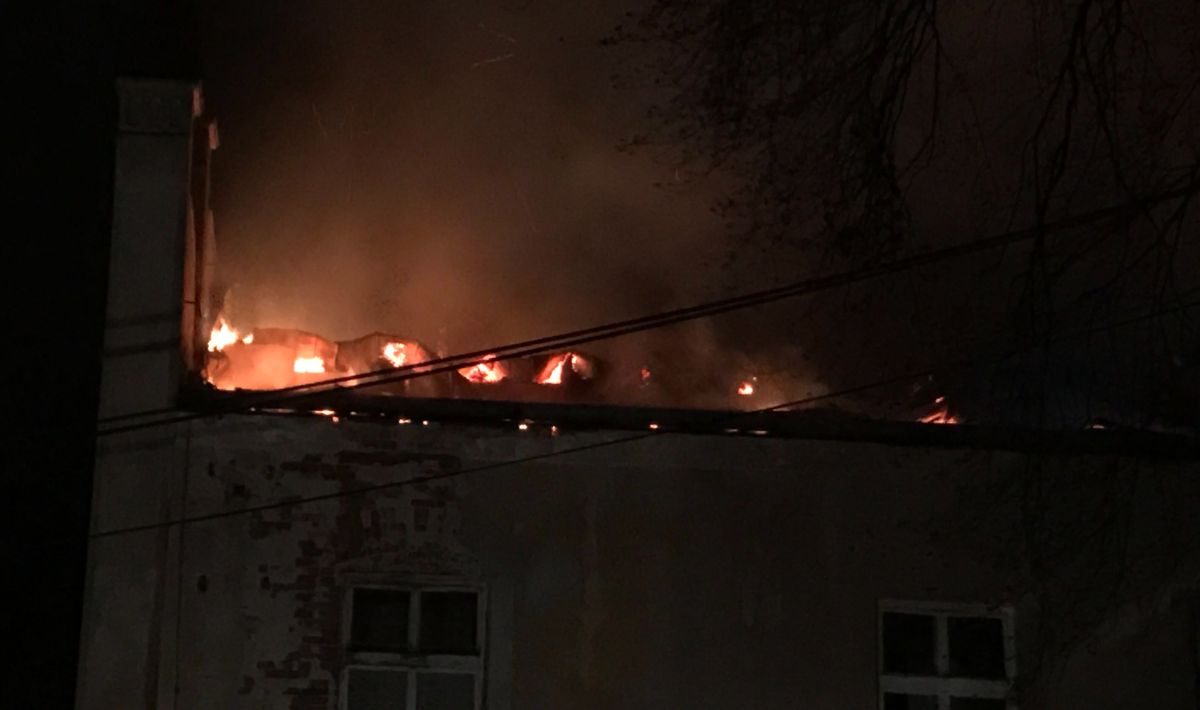 Markusek-2018_12_25-809cfbce.jpg