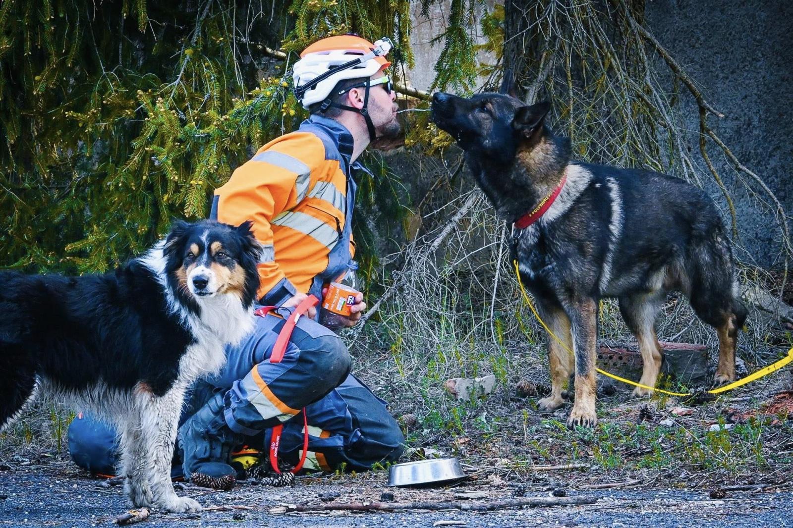 Mezinárodní cvičení kynologů v Ralsku_2.jpeg