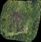 OLK_POZAR_LESA_transparent_mosaic_group1