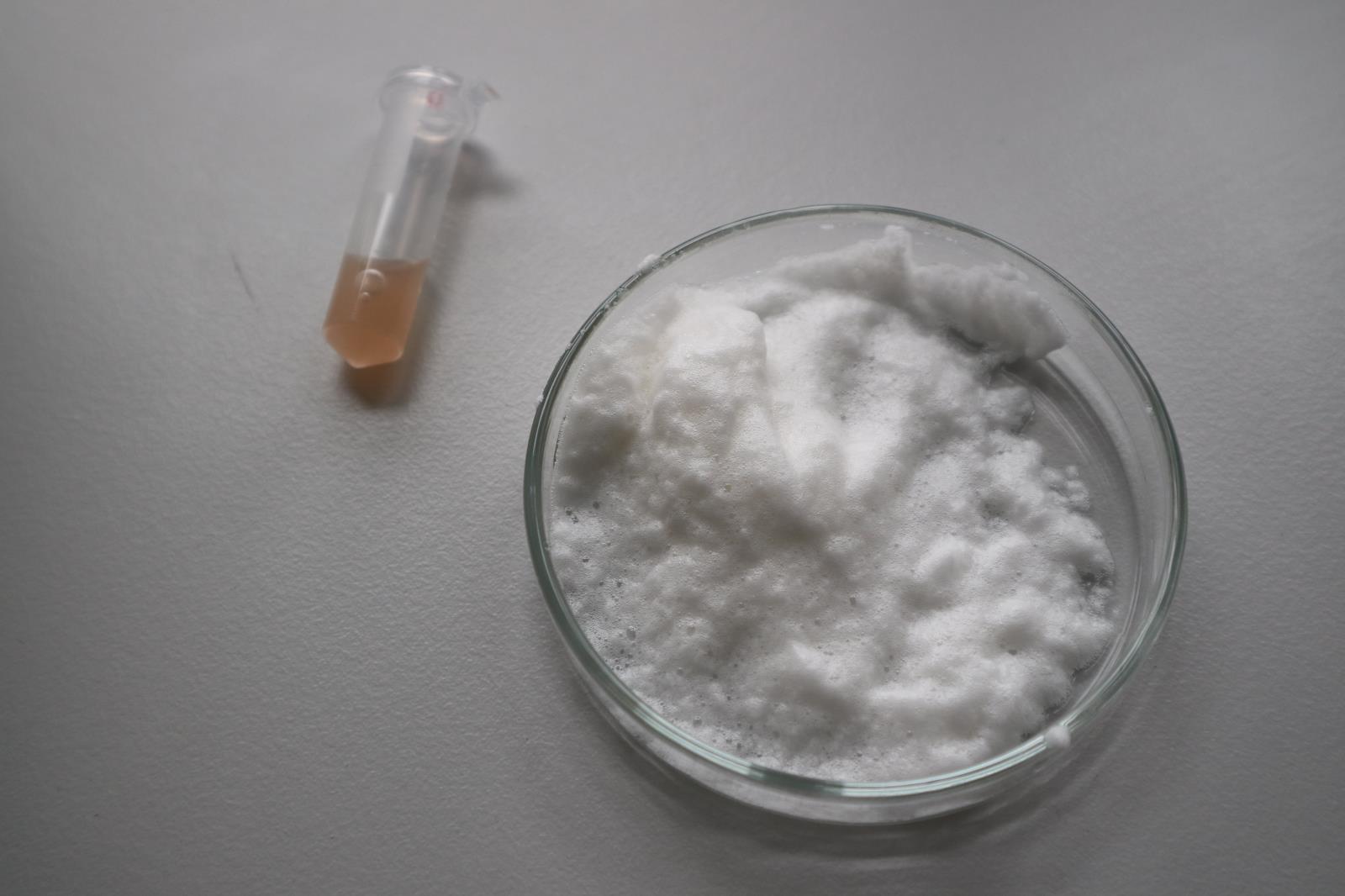 Odborne skoleni Cleamix_03.JPG
