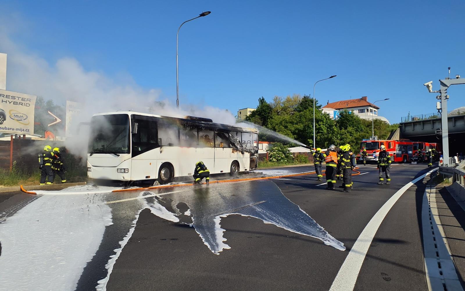 P BUS (1).jpg