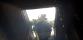 P Vary_07
