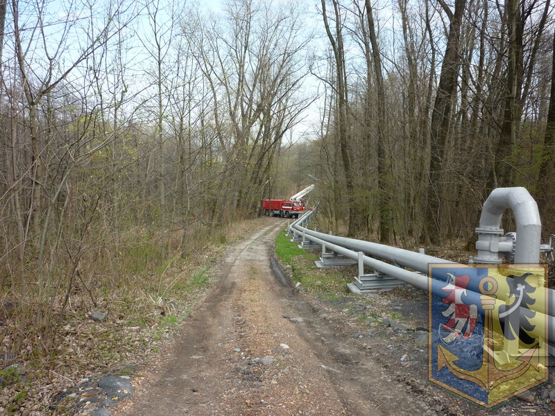 P1010845.JPG