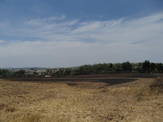 P8010010.JPG