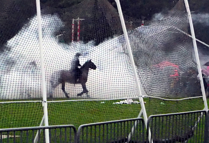 P9148811.JPG