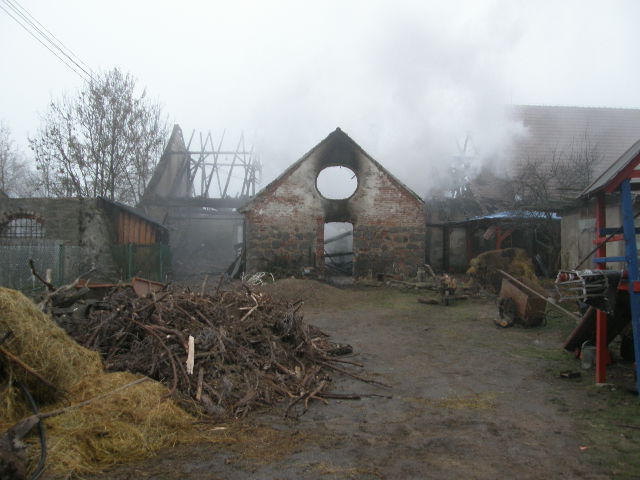 PB250007.JPG