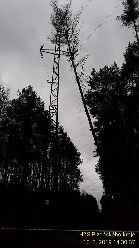 PLK 6.jpg