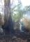 P_cernovir_24-6-2014