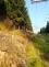 P_kouty nad desnou_8-8-2015
