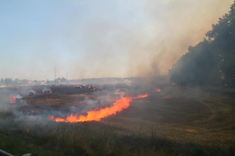 Požár-Petrovičky10.jpg