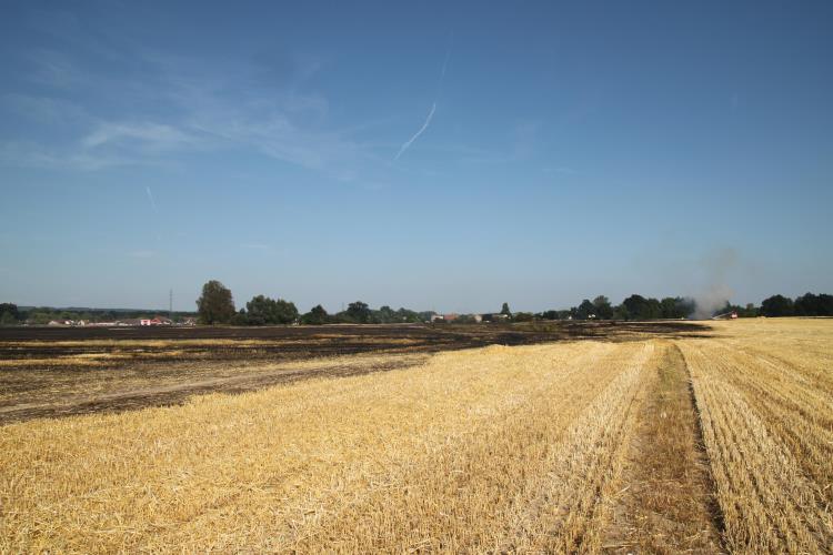 Požár-Petrovičky11.jpg