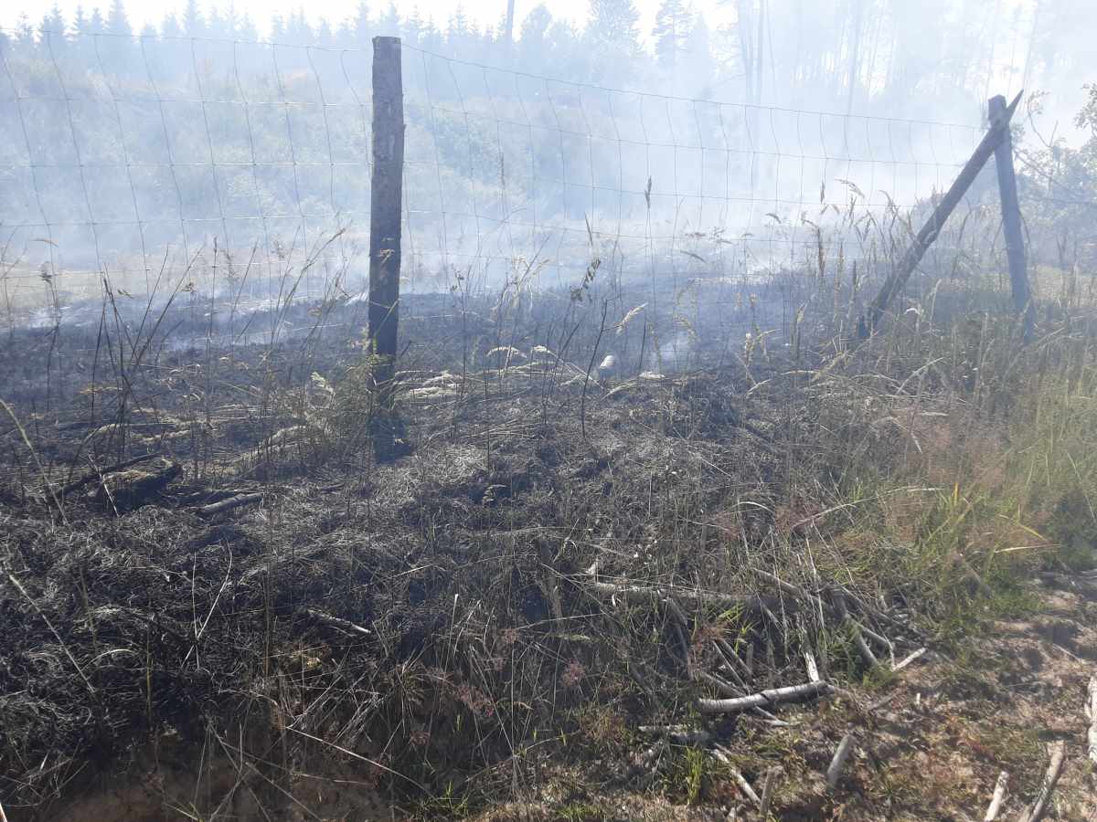 Požár u Vysoké likvidovalo pět jednotek hasičů