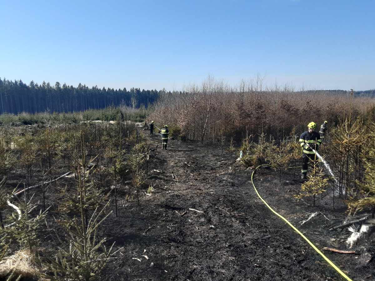 Požár v přírodním prostředí_Kraj Vysočina.jpg