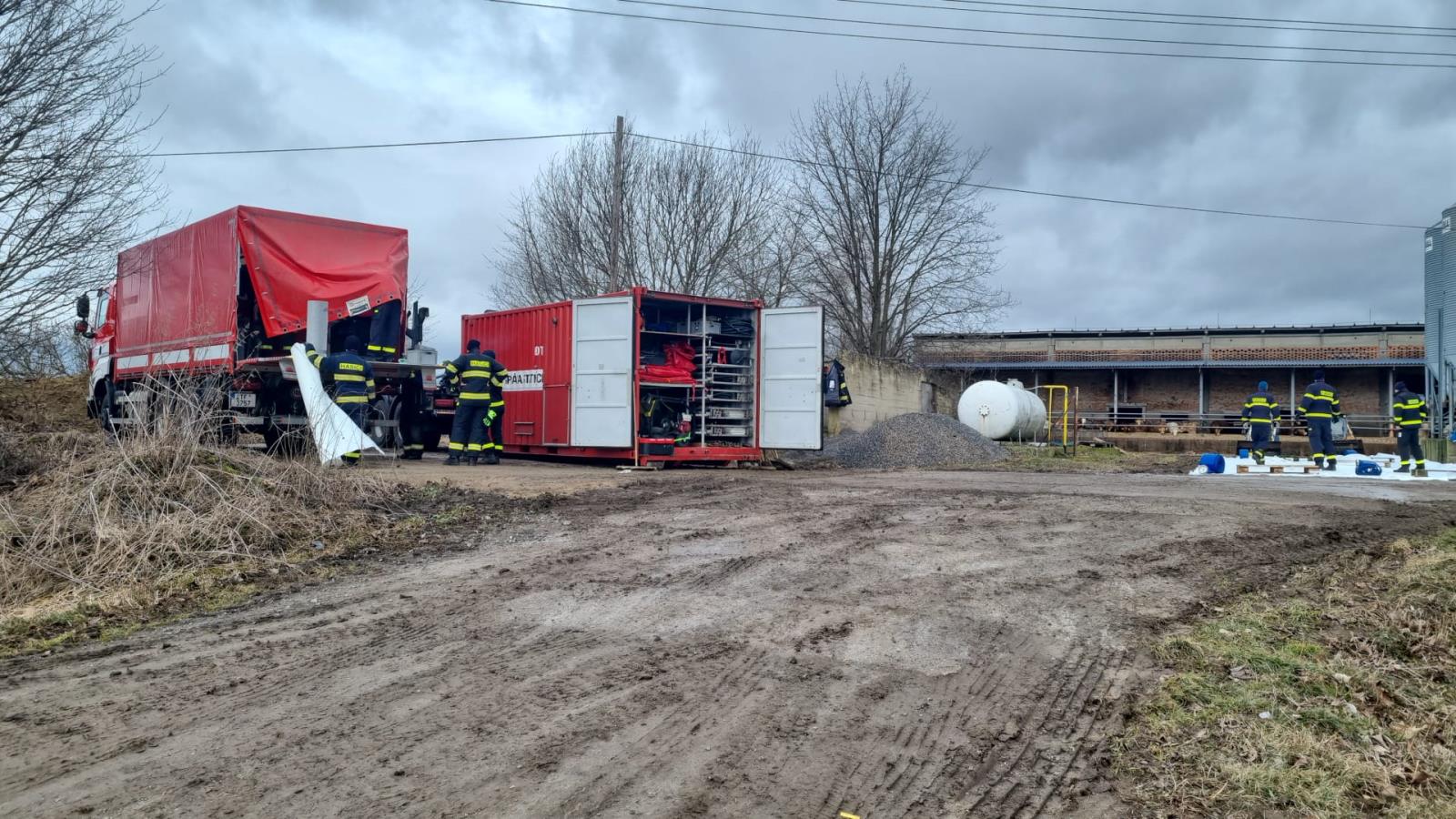 Ptačí chřipka