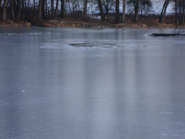 Resize of DSC04752.JPG