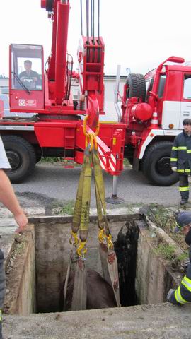 Resize of IMG_0383.jpg