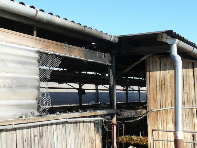 Resize of P1010566.JPG