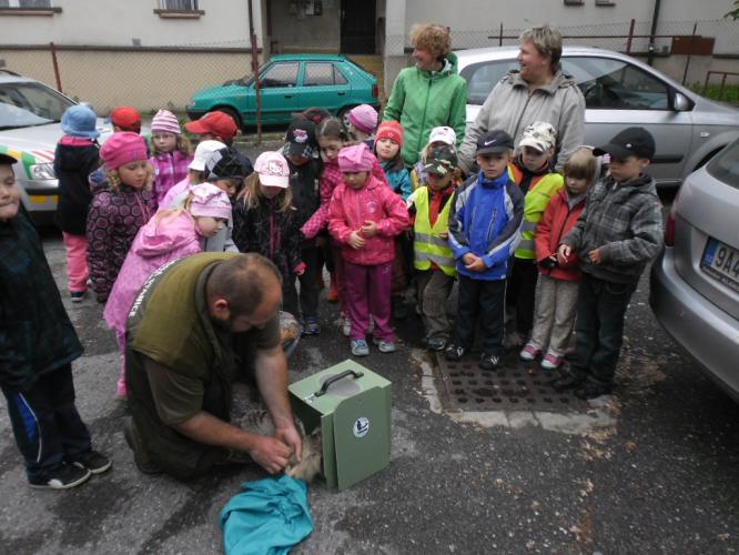 Sova byla nakonec převezena do Záchranné stanice Pasíčka