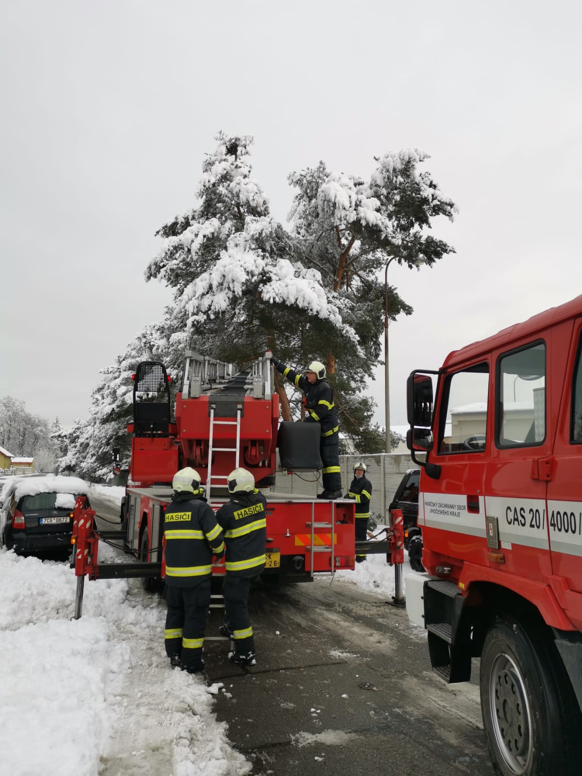 Spadané stromy, České Budějovice - 7. 1. 2021 (7).jpg